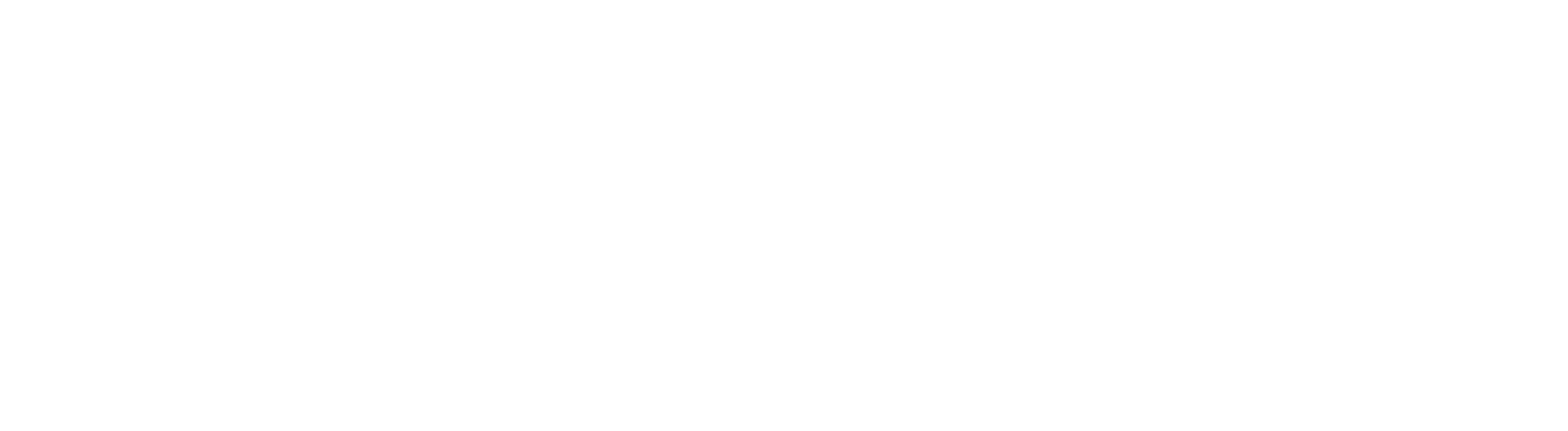 The Naturopathic Academy